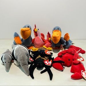 TWINS! 6 Ty Beanie Babies & Teeny Beanie Twins